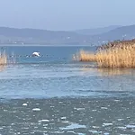 Topart I-ii-iii Balatonfenyves
