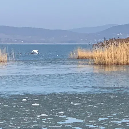 Tópart I Balatonfenyves