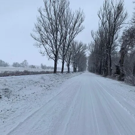 Tópart I * Balatonfenyves