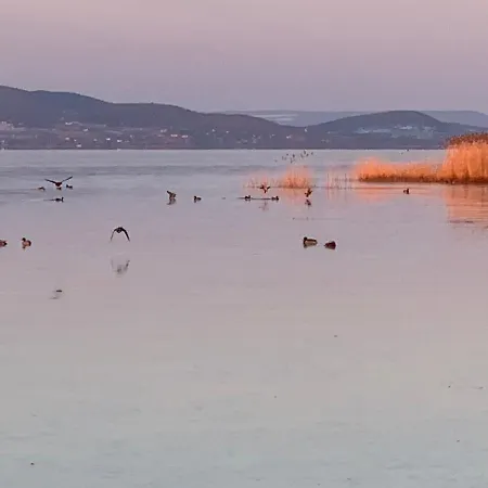 Daire Topart I-ii-iii Balatonfenyves