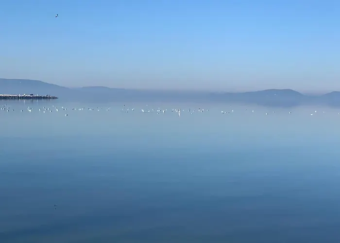Topart I-ii-iii Διαμέρισμα *