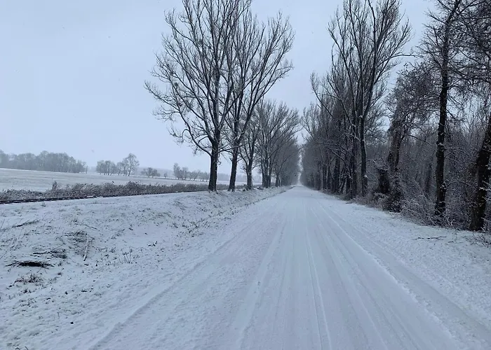 Topart I-ii-iii * Balatonfenyves