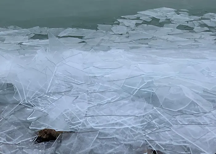 Topart I Appartement